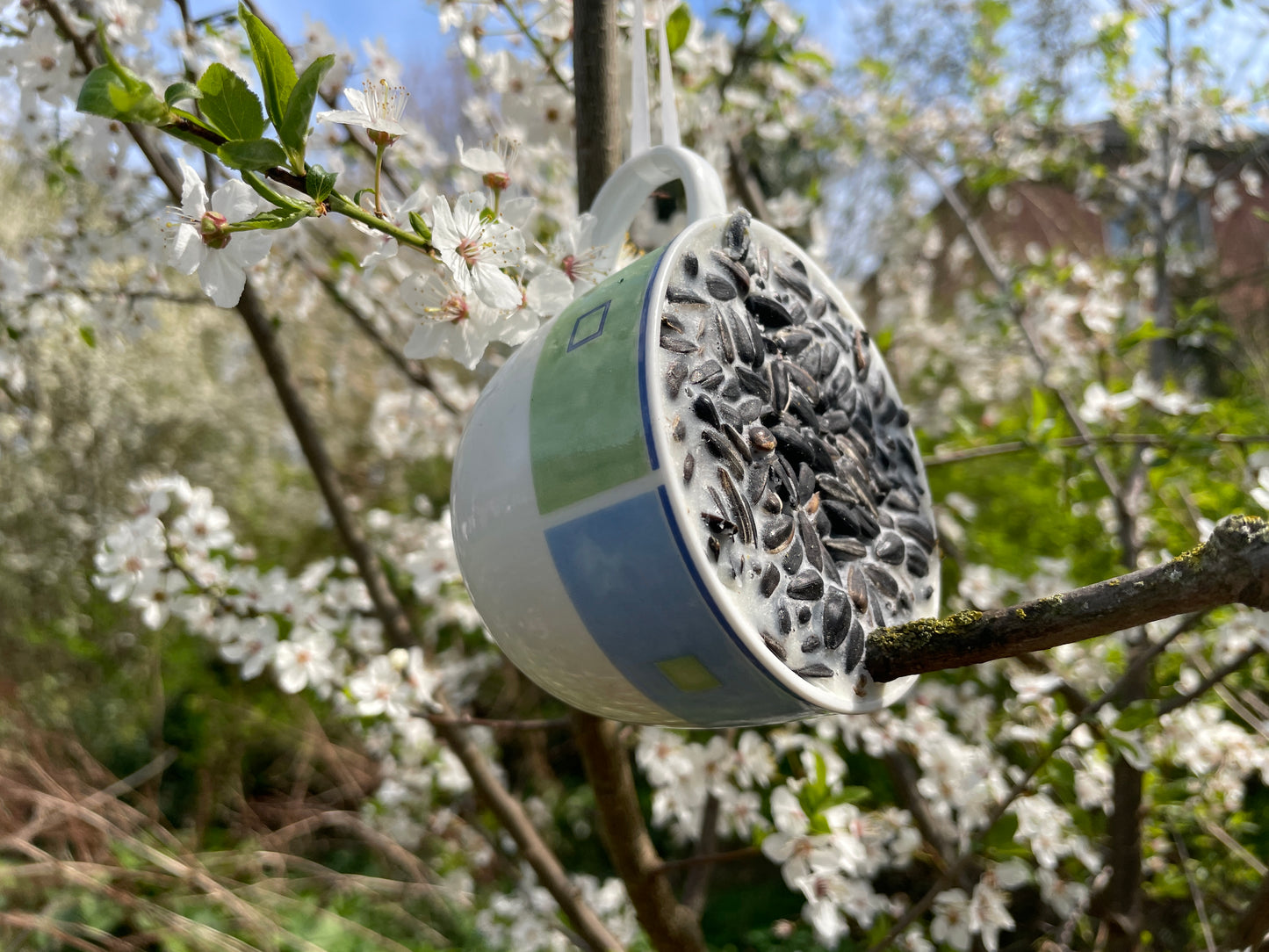 So macht Füttern Freude: Aus ausgedienten Tassen werden kreativ gestaltete Futterplätze, an denen Vögel sich die Kürbiskerne aus dem Wachs picken können. Im ZukunftsZentrum Dannenberg wurden diese besonderen Vogeltassen in sorgfältiger Handarbeit hergestellt. Jede Tasse ist ein Unikat. Die Vogeltassen sind eine originelle Geschenkidee für jeden Vogelfreund. Und der nächste Winter kommt bestimmt!